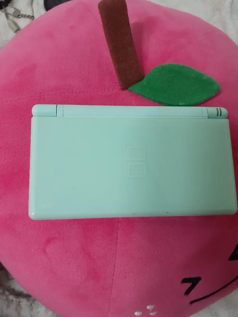 닌텐도 ds lite 리틀